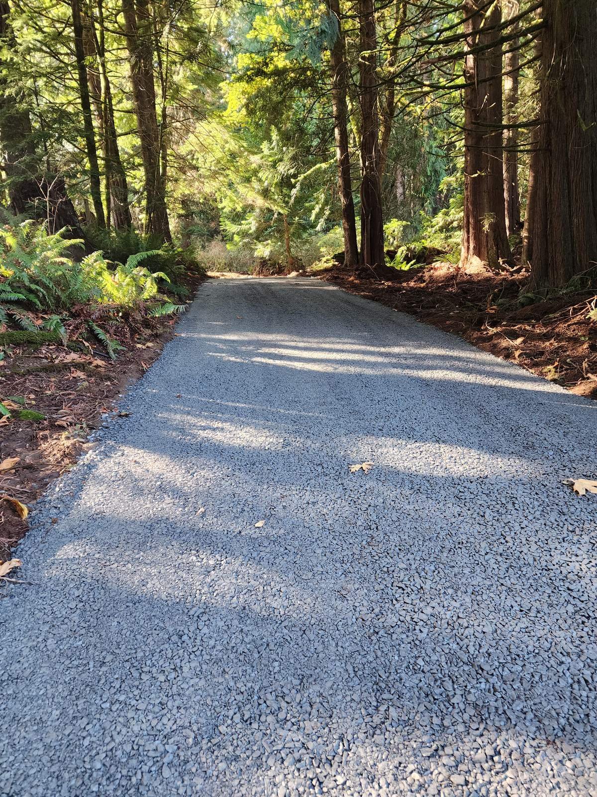 Finished gravel access road curving through forest