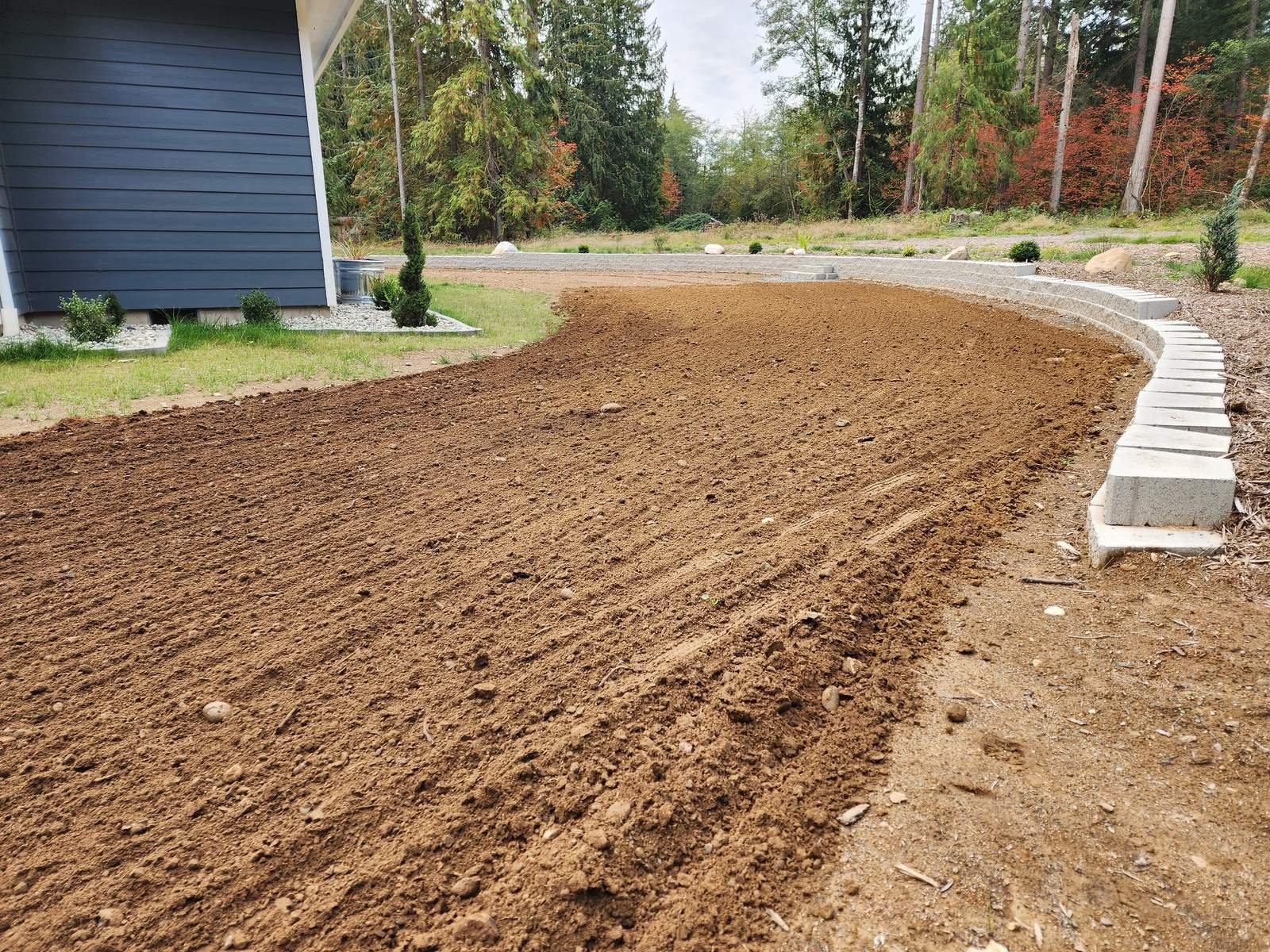 Raked topsoil graded along a curved concrete border with trees behind