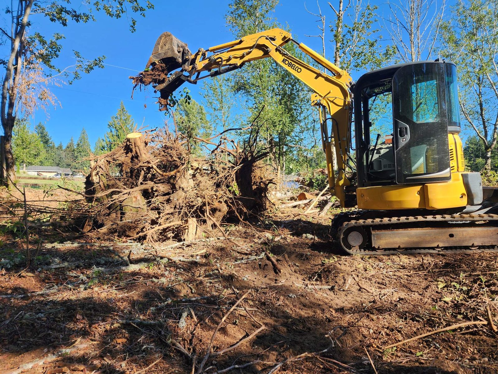 Excavator pulling a large stump and root ball from a cleared lot